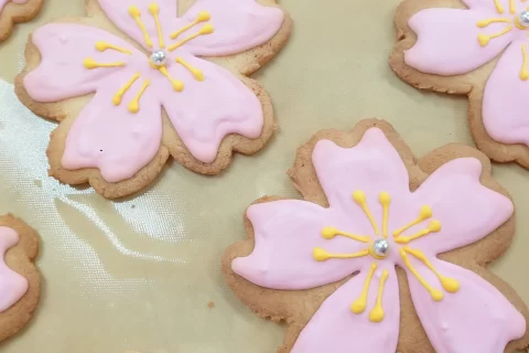 桜咲く!