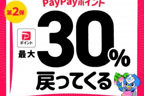 未来へつなごう笛吹最大30%戻ってくるキャンペーン始まります！