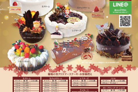 Xmasケーキ予約開始です!