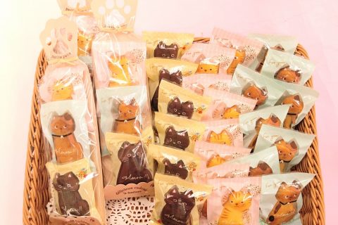 ねこさんトリオ登場です!