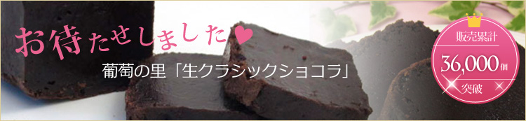 生クラシックショコラ