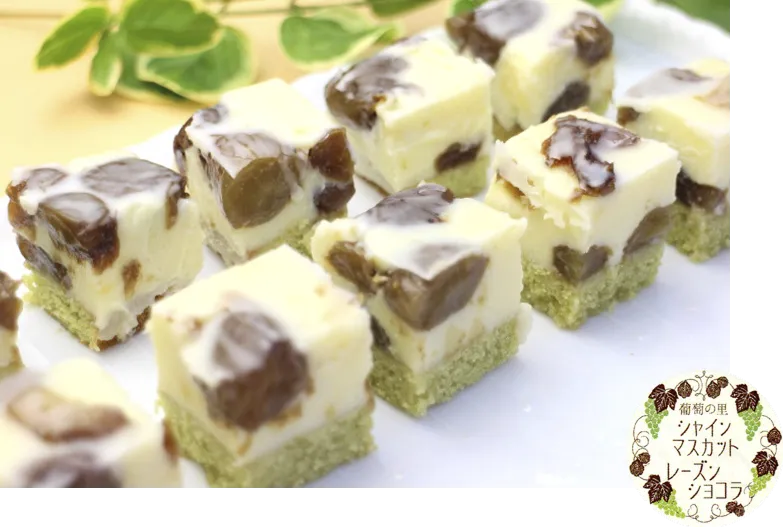 シャインマスカット レーズンショコラ
