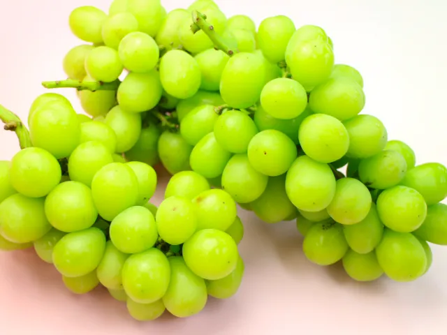 シャインマスカット レーズンショコラ