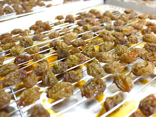 シャインマスカット レーズンショコラ