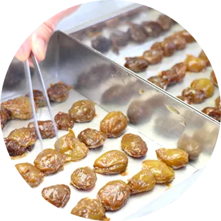 シャインマスカット レーズンショコラ