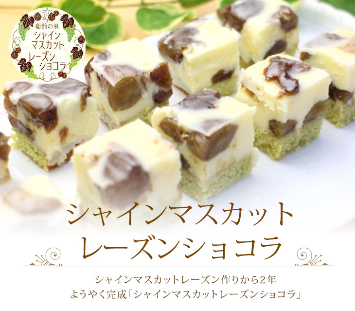 シャインマスカット レーズンショコラ